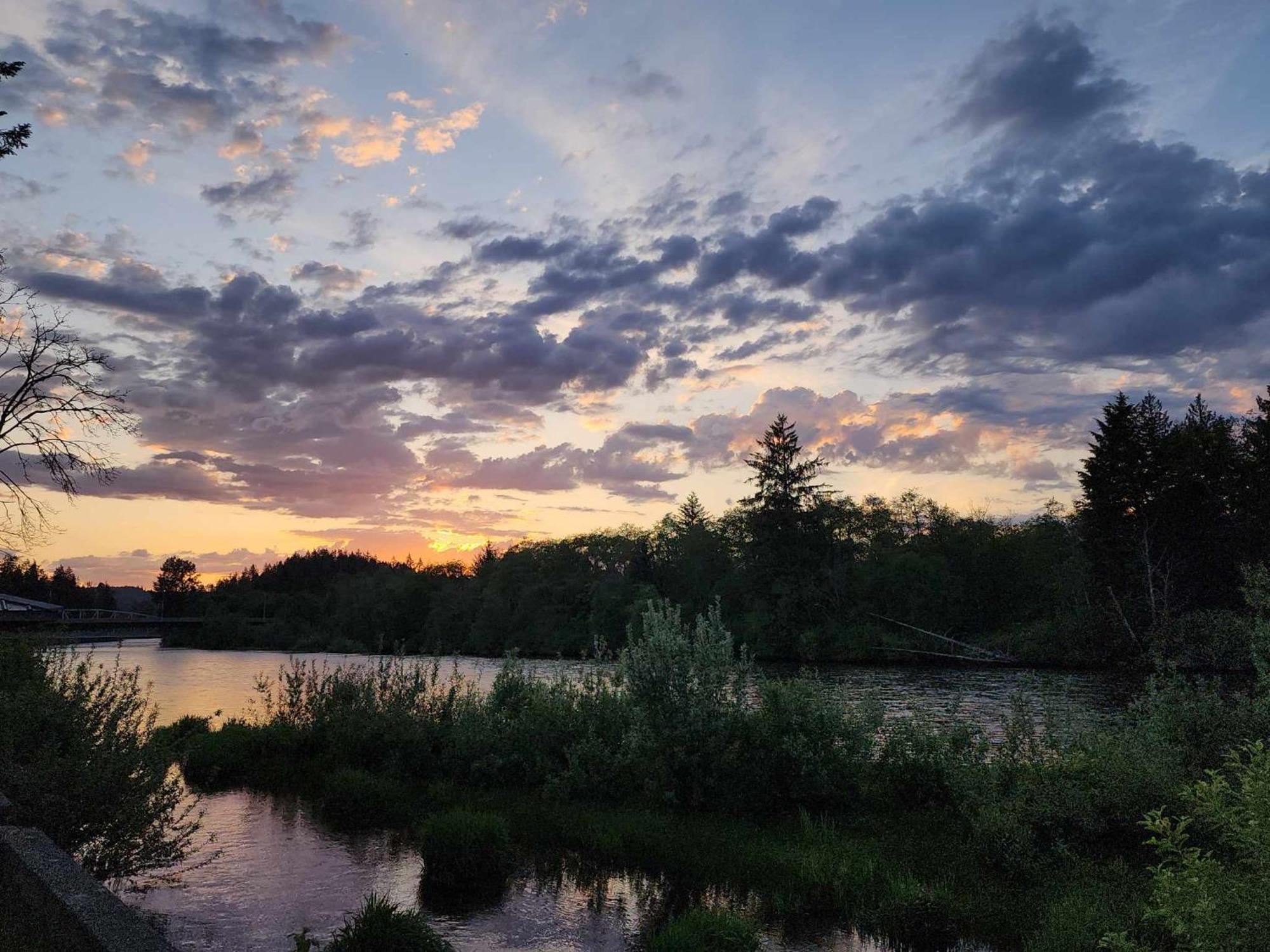 Campbell River Lodge 외부 사진